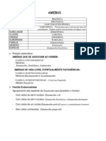 AMEBAS: CARACTERÍSTICAS, CICLOS E DOENÇAS