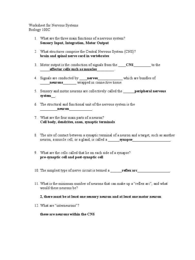 worksheet-action-potential-worksheet-worksheet-fun-worksheet-study-site