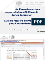 Guia Registro de Proyectos Programa Banca 2013