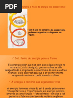 1472140-Ciclo-de-Materia-e-Fluxo-de-Energia