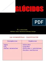 Glúcids 1