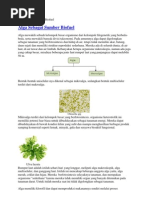 Download Alga Sebagai Sumber Biofuel by Dhyana Muthgladits SN164094963 doc pdf