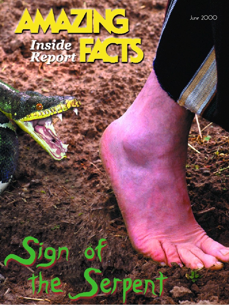 Sign of the Serpent | Serpents In The Bible | Snake