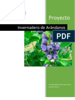 PDN_Cuernavaca_Invernadero_Arándano.pdf