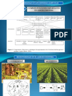 Biodiversidad Agroecosistema