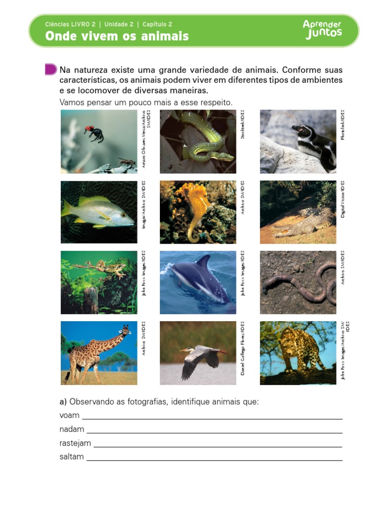 Onde Vivem Os Animais | PDF