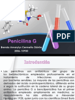 Penicilinas: producción, regulación y mecanismo