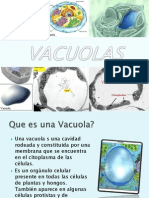 VACUOLAS