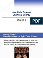 How Cells Release Chemical Energy
