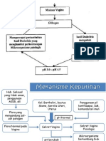 Patofisiologi Keputihan 2