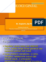 DR Sugiarto - Patologi Ginjal1