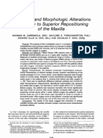 Functional and Morphologic Alterations Secondary To Superior Repositioning of The Maxilla