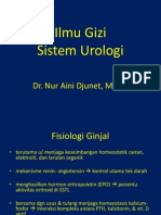 Dr Aini - Gizi Urologi