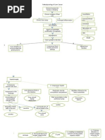 Download Pathophysiology of Liver Cancer 2doc by Charis Jose SN164177389 doc pdf