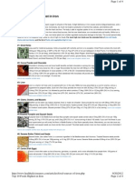 Food Sources of Iron PDF