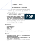 Cancerul Renal