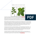 Medicinal Plant PDF