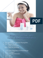 Programa Iscisa - 2013