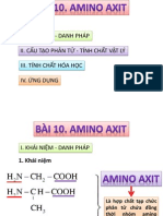 Amino Axit