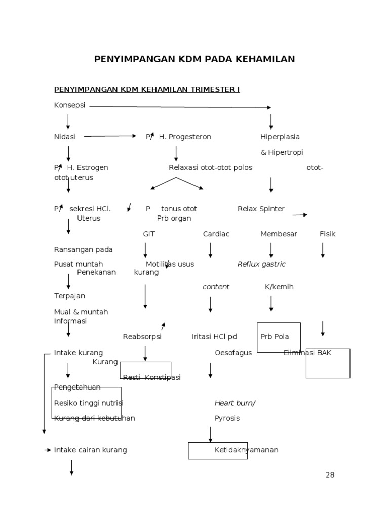 Penyimpangan KDM Pada Kehamilan | PDF