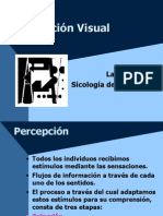 Percepcicon Visual