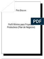 Perfil Minimo Proyectos Productivos