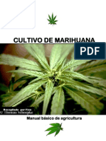 Manual Basico Marihuana.pdf