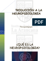 Introduccion Al Estudio de La Neuropsicologia