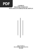 Download Pengamatan Struktur Sel Hewan by fthnnbht3607 SN16429736 doc pdf