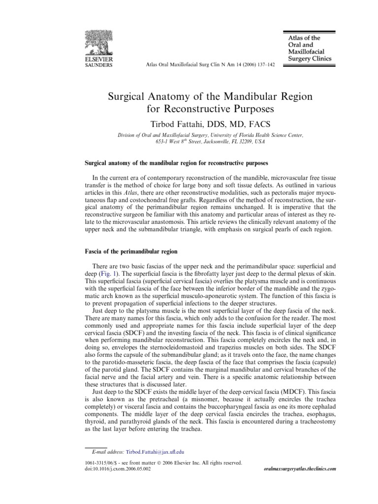 Surgical Anatomy Of The Mandibular Region For Reconstructive - 