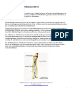 ClasificacionHuesosArticulaciones PDF