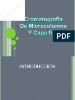 presentacion analisis cromatrografia