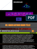 Apoptosis