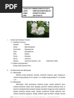 Download Bunga Melati by Prasetyo Hadi Nugroho SN164358283 doc pdf