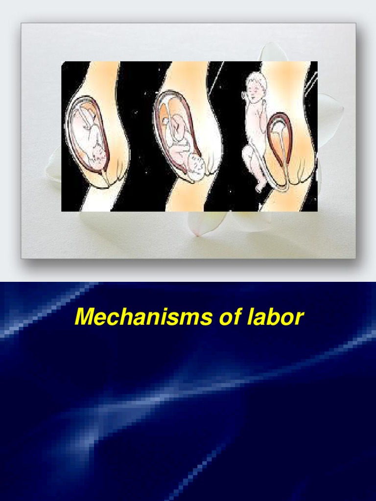 Mechanism of Labor | Pelvis | Childbirth