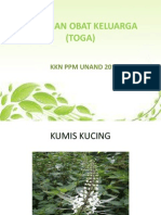 Tanaman Obat Keluarga (Toga)