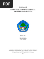 Download Makalah Kesehatan Reproduksi Remaja by SOPANDI SN164399341 doc pdf