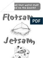 Flotsam and Jetsam Guide