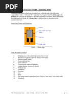 Contoh Surat Banding