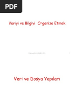 Veriyi Ve Bilgiyi Organize Etmek