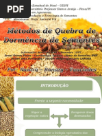 Quebra de Dormência