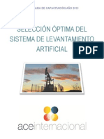 Selección Óptima del Sistema de Levantamiento Artificial