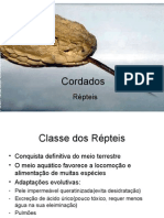 4034043 Biologia PPT Aula 9 Repteis