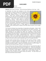 Download sunflower by kashif salman SN16446281 doc pdf