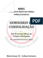 Seminário de Consolidação Fev 2013