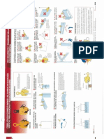 Uso Correcto de Garras de Elevacion