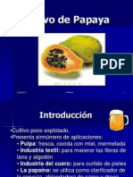 Cultivo de Papaya 8