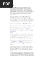Aspectos de organização social indígena;