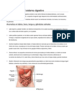 Enfermedades Del Sistema Digestivo