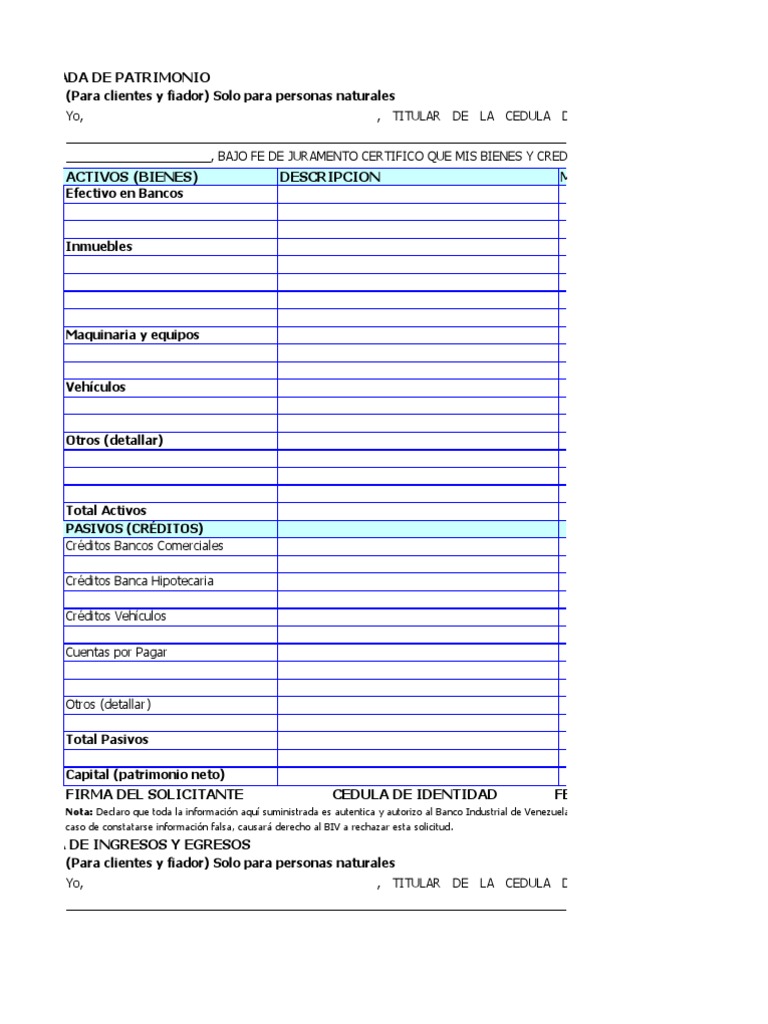 Declaración Jurada de Ingresos y Egresos | PDF